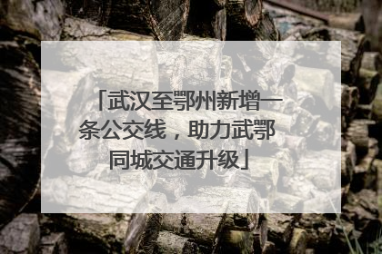 武汉至鄂州新增一条公交线，助力武鄂同城交通升级