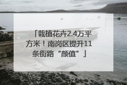 栽植花卉2.4万平方米！南岗区提升11条街路“颜值”