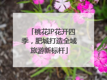 桃花IP花开四季，肥城打造全域旅游新标杆