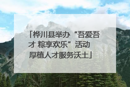 桦川县举办“吾爱吾才 粽享欢乐”活动 厚植人才服务沃土