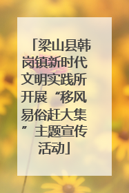 梁山县韩岗镇新时代文明实践所开展“移风易俗赶大集”主题宣传活动