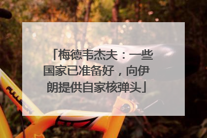 梅德韦杰夫：一些国家已准备好，向伊朗提供自家核弹头