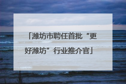 潍坊市聘任首批“更好潍坊”行业推介官