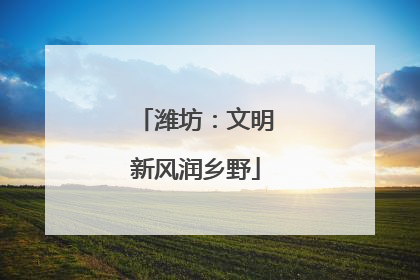 潍坊：文明新风润乡野