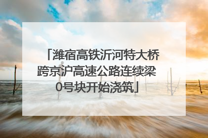 潍宿高铁沂河特大桥跨京沪高速公路连续梁0号块开始浇筑