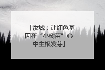汝城：让红色基因在“小树苗”心中生根发芽