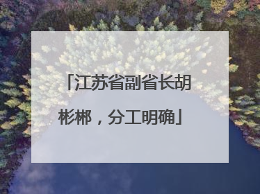 江苏省副省长胡彬郴，分工明确