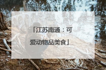 江苏南通：可爱动物品美食