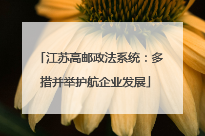 江苏高邮政法系统：多措并举护航企业发展