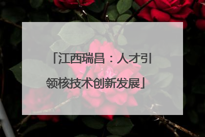 江西瑞昌：人才引领核技术创新发展