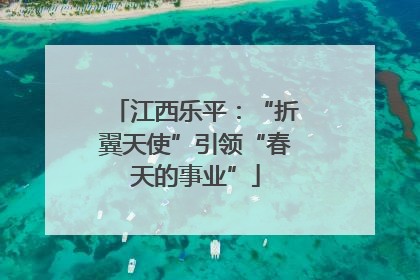 江西乐平：“折翼天使”引领“春天的事业”