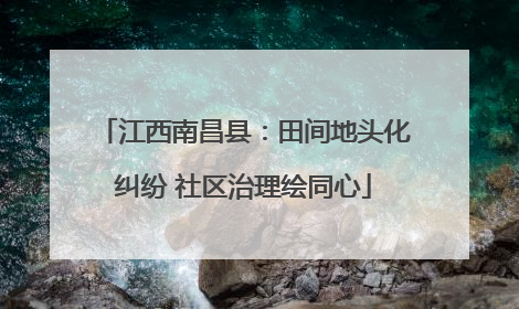 江西南昌县：田间地头化纠纷 社区治理绘同心