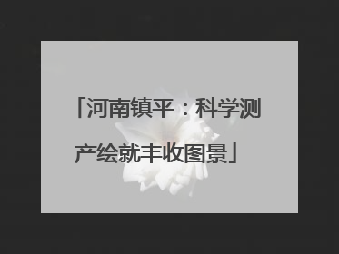 河南镇平：科学测产绘就丰收图景