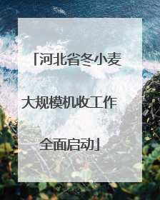 河北省冬小麦大规模机收工作全面启动