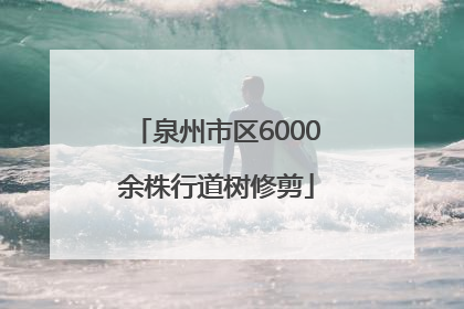 泉州市区6000余株行道树修剪