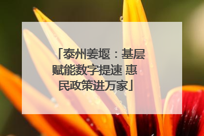 泰州姜堰：基层赋能数字提速 惠民政策进万家