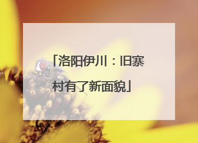 洛阳伊川：旧寨村有了新面貌