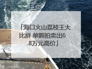 海口火山荔枝王大比拼 单颗拍卖出6.8万元高价