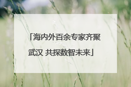 海内外百余专家齐聚武汉 共探数智未来