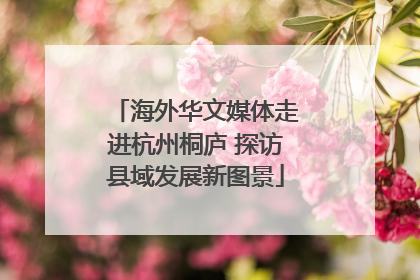 海外华文媒体走进杭州桐庐 探访县域发展新图景