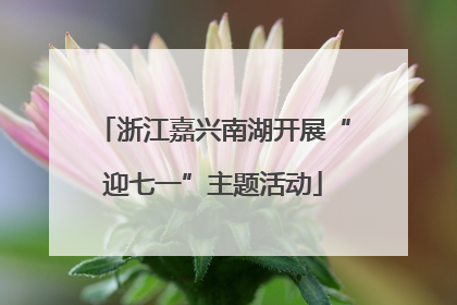 浙江嘉兴南湖开展“迎七一”主题活动