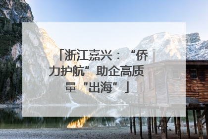 浙江嘉兴：“侨力护航”助企高质量“出海”