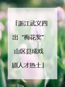 浙江武义四出“梅花奖” 山区县成戏剧人才热土