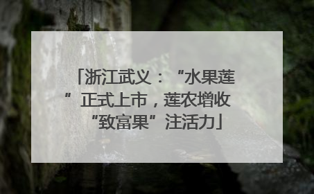浙江武义：“水果莲”正式上市，莲农增收“致富果”注活力