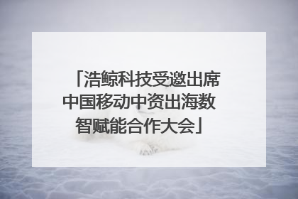 浩鲸科技受邀出席中国移动中资出海数智赋能合作大会