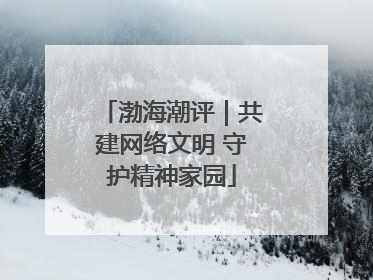 渤海潮评｜共建网络文明 守护精神家园