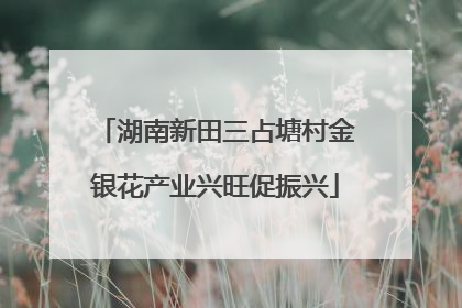 湖南新田三占塘村金银花产业兴旺促振兴