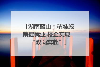 湖南蓝山：精准施策促就业 校企实现“双向奔赴”