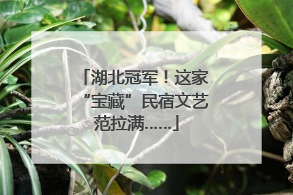 湖北冠军！这家“宝藏”民宿文艺范拉满……