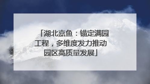 湖北嘉鱼：锚定满园工程，多维度发力推动园区高质量发展
