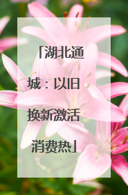 湖北通城：以旧换新激活消费热