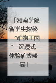 湘南学院留学生探秘“矿物王国” 沉浸式体验矿博盛宴