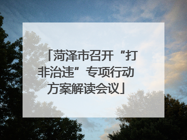 菏泽市召开“打非治违”专项行动方案解读会议