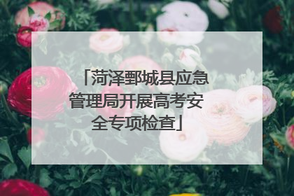 菏泽鄄城县应急管理局开展高考安全专项检查