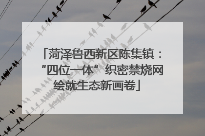 菏泽鲁西新区陈集镇：“四位一体”织密禁烧网 绘就生态新画卷