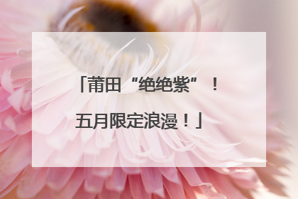 莆田“绝绝紫”！五月限定浪漫！