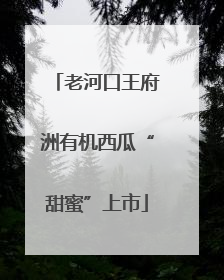 老河口王府洲有机西瓜“甜蜜”上市