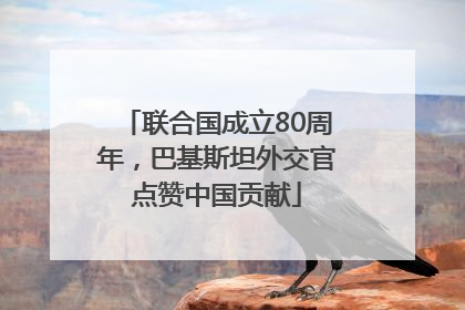联合国成立80周年，巴基斯坦外交官点赞中国贡献
