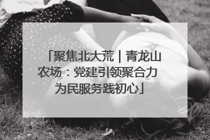 聚焦北大荒｜青龙山农场：党建引领聚合力 为民服务践初心
