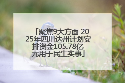 聚焦9大方面 2025年四川达州计划安排资金105.78亿元用于民生实事