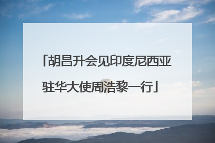 胡昌升会见印度尼西亚驻华大使周浩黎一行