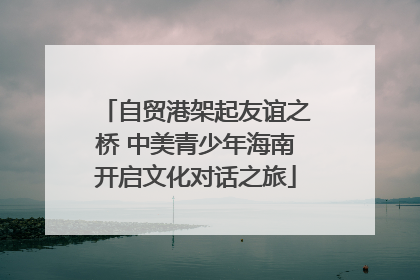 自贸港架起友谊之桥 中美青少年海南开启文化对话之旅