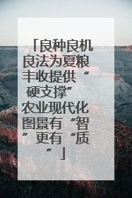 良种良机良法为夏粮丰收提供“硬支撑” 农业现代化图景有“智”更有“质”