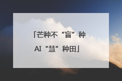 芒种不“盲”种 AI“慧”种田