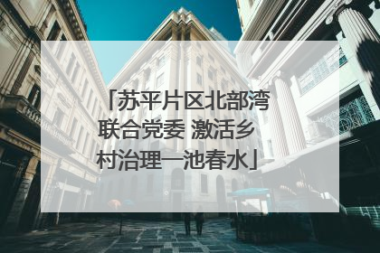 苏平片区北部湾联合党委 激活乡村治理一池春水