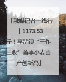 融媒记者一线行丨1173.53斤！李鹊镇“三作三收”首季小麦亩产创新高